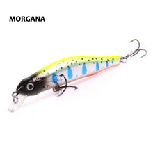 Korcula Trout