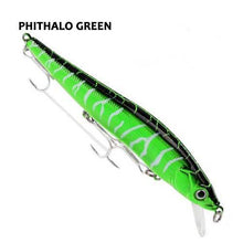 Griffith Minnow