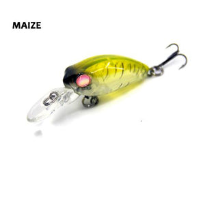 Fraser Minnow