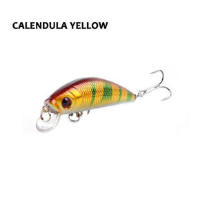 Barbuda Minnow