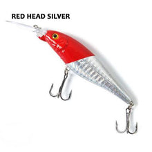 Madeira Minnow