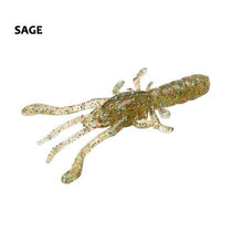 Vormsi Prawn