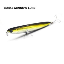 Burke Minnow