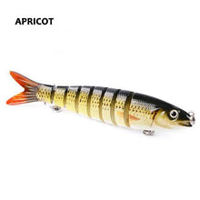 Havelock Perch Swimmer