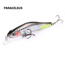 Korcula Trout