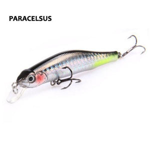 Korcula Trout