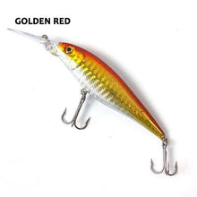 Madeira Minnow