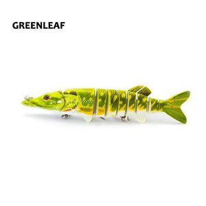 Clipperton Trout Swima