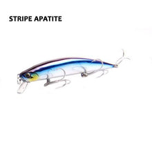 Swains Minnow