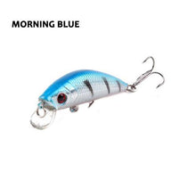 Barbuda Minnow