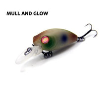 Fraser Minnow