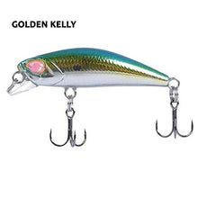 Bioko Minnow