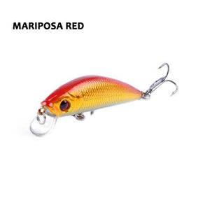 Barbuda Minnow