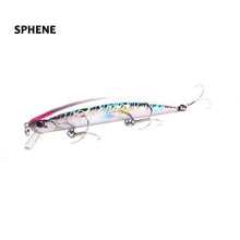 Swains Minnow