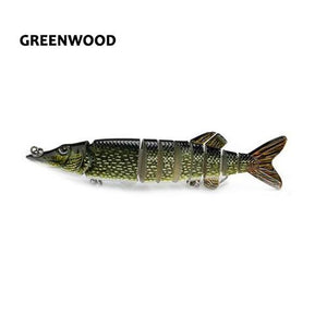 Clipperton Trout Swima