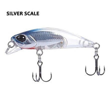 Bioko Minnow