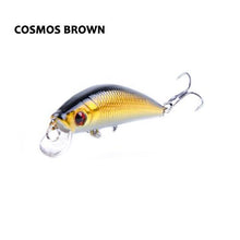 Barbuda Minnow