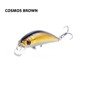 Barbuda Minnow