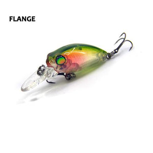 Fraser Minnow
