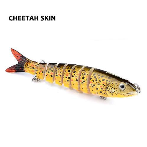Havelock Perch Swimmer