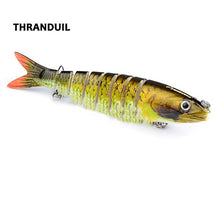 Havelock Perch Swimmer