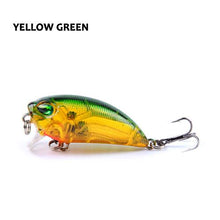 Olenity Minnow