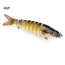Havelock Perch Swimmer