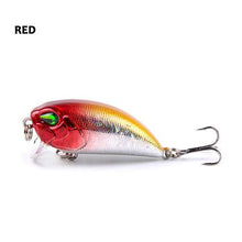 Olenity Minnow