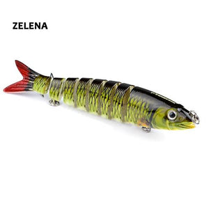 Havelock Perch Swimmer