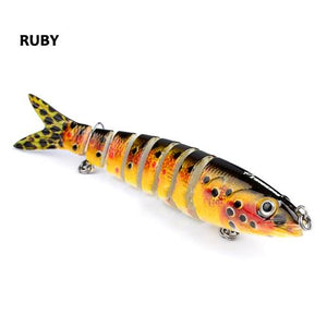 Havelock Perch Swimmer