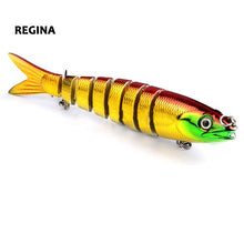 Havelock Perch Swimmer