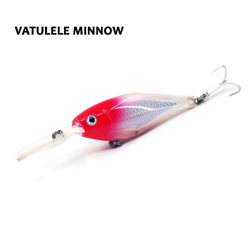 Vatulele Minnow