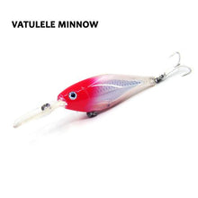 Vatulele Minnow
