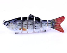 Barren Swimfin