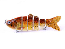 Barren Swimfin