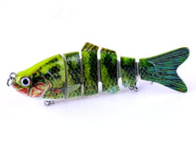 Barren Swimfin