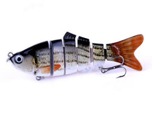 Barren Swimfin