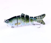 Barren Swimfin
