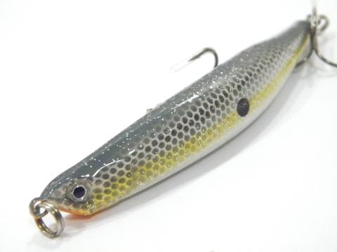 Sumatra Minnow