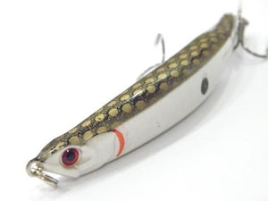 Sumatra Minnow