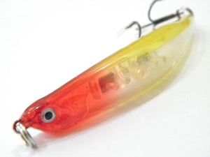 Sumatra Minnow