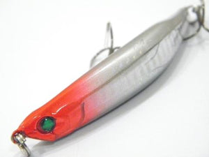 Sumatra Minnow