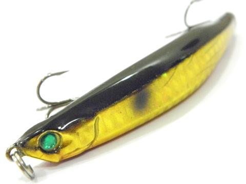 Sumatra Minnow