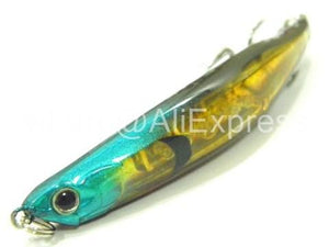 Sumatra Minnow