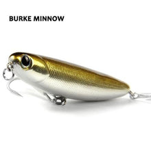 Burke Minnow